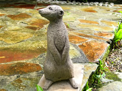 Meerkat garden statues in a group on the lawn